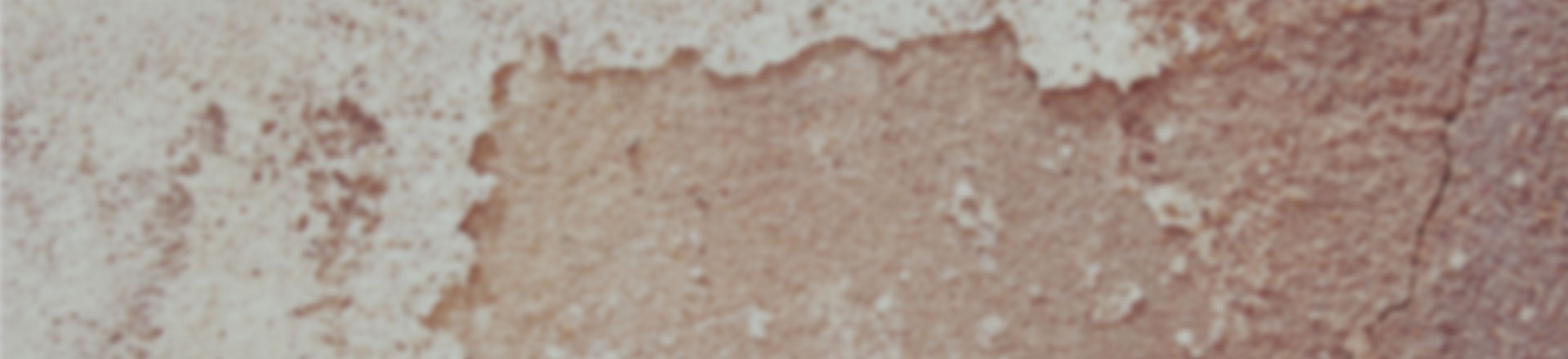 轰炸手机号在线使用